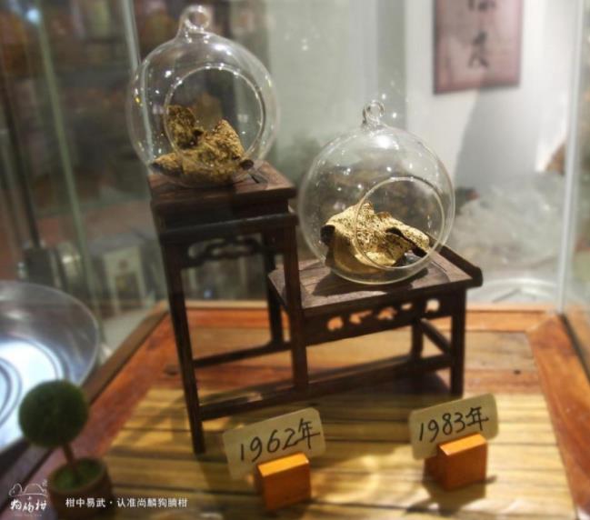 06dbdf9c9ff040838f746bbf363939bf.jpg 06dbdf9c9ff040838f746bbf363939bf.jpg