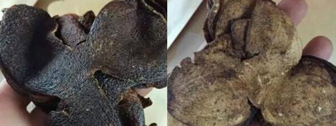 3beea53a26ec8ebce2186746c5ddb47f.jpg 3beea53a26ec8ebce2186746c5ddb47f.jpg