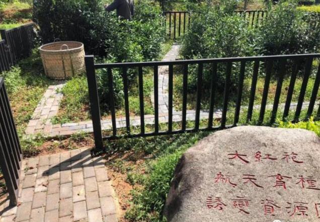 9d9e03d030bb3890b0fb6159d098a444.jpg 9d9e03d030bb3890b0fb6159d098a444.jpg