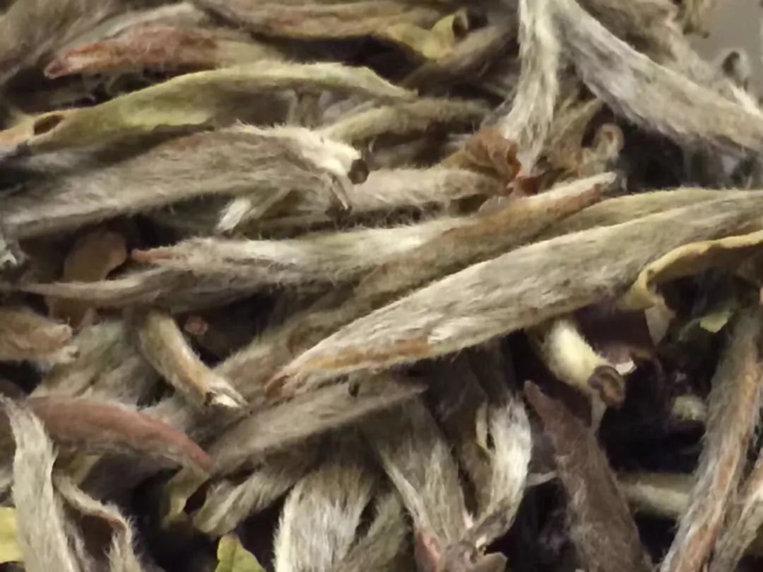 d49d10bdc8808fe28f08c6b2e749f21a.jpg d49d10bdc8808fe28f08c6b2e749f21a.jpg