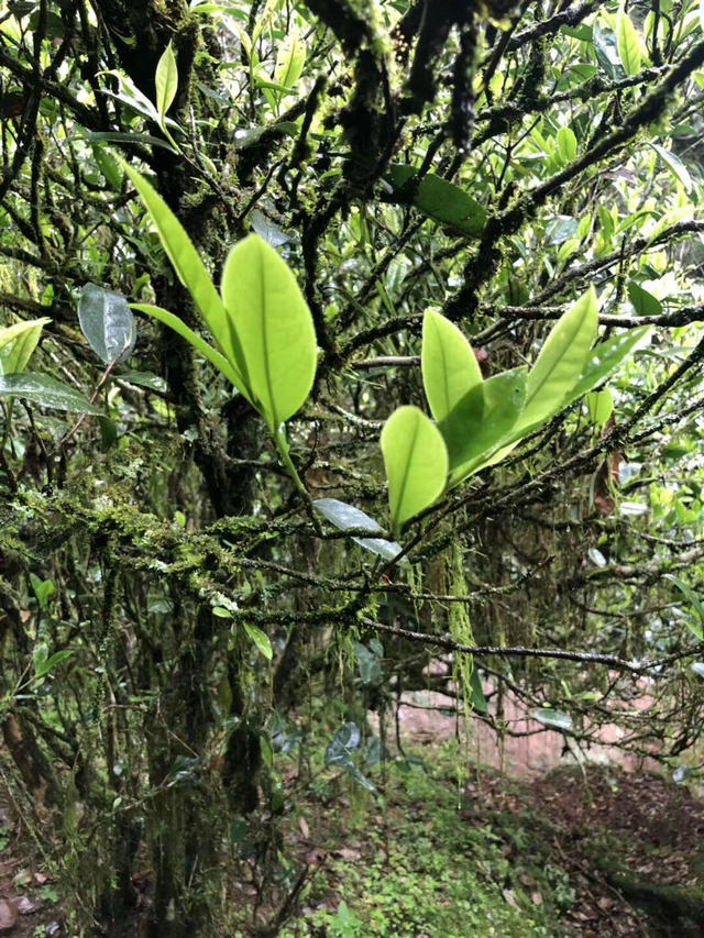 e0d45879571018f326827963372552b9.jpg e0d45879571018f326827963372552b9.jpg