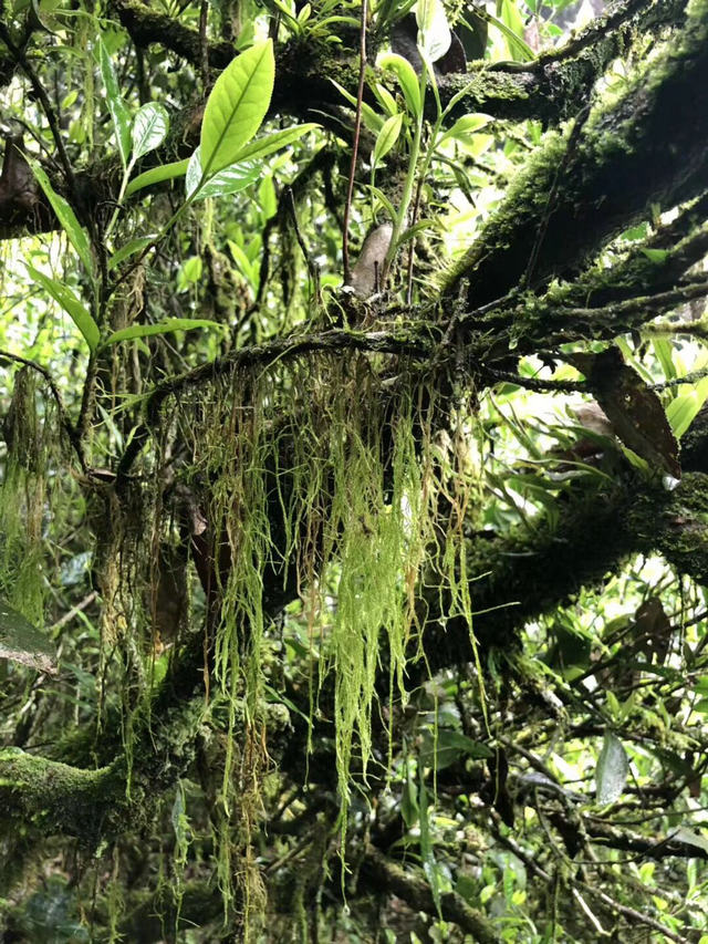 e53e50b302aff5bd257c24d5b8e5acaa.jpg e53e50b302aff5bd257c24d5b8e5acaa.jpg