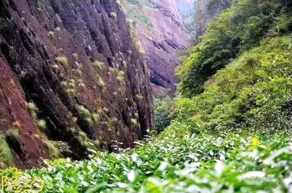 28abc5a54470b319415b7b32a652ddef.jpg 28abc5a54470b319415b7b32a652ddef.jpg