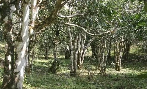 699638d9bc908b8200956af00c91686c.jpg 699638d9bc908b8200956af00c91686c.jpg