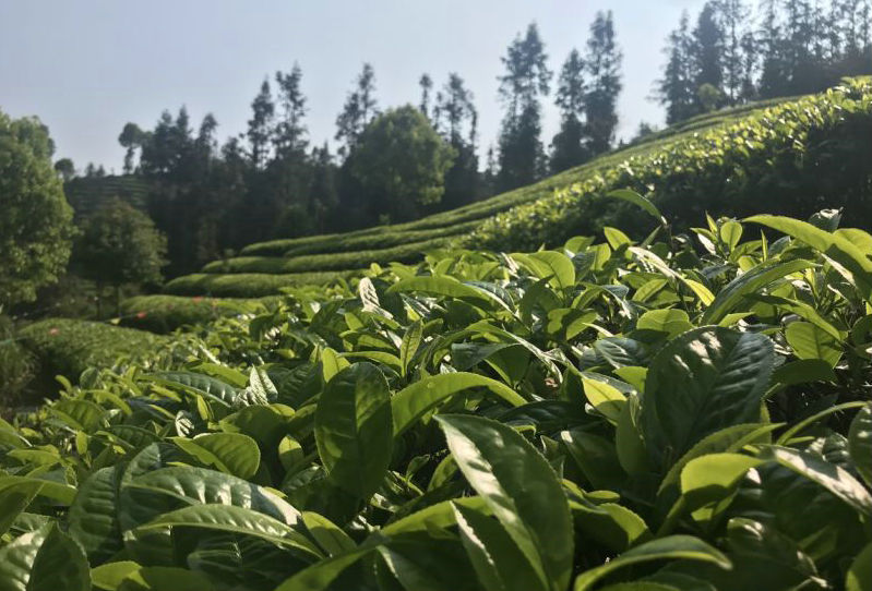 7f21ba10a4702870347eeee82e319658.jpg 7f21ba10a4702870347eeee82e319658.jpg