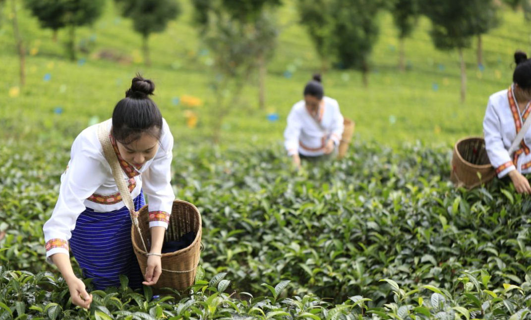 a0ae917a45c4c78f49ca36112a5943cd.jpg a0ae917a45c4c78f49ca36112a5943cd.jpg