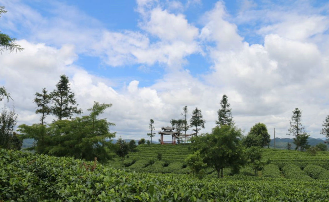 a76da500c559871e12ff8c8598f88fe9.jpg a76da500c559871e12ff8c8598f88fe9.jpg