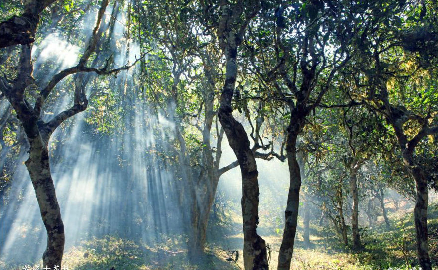 e527df7bdf7881ab74f0679640885278.jpg e527df7bdf7881ab74f0679640885278.jpg