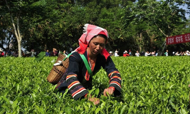 1700c93918389a3594637c1ed3c96bf6.jpg 1700c93918389a3594637c1ed3c96bf6.jpg