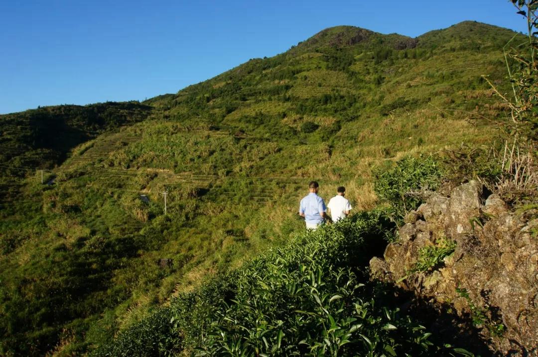 af66011802389b5f79abb88acf9b0f0b.jpg af66011802389b5f79abb88acf9b0f0b.jpg