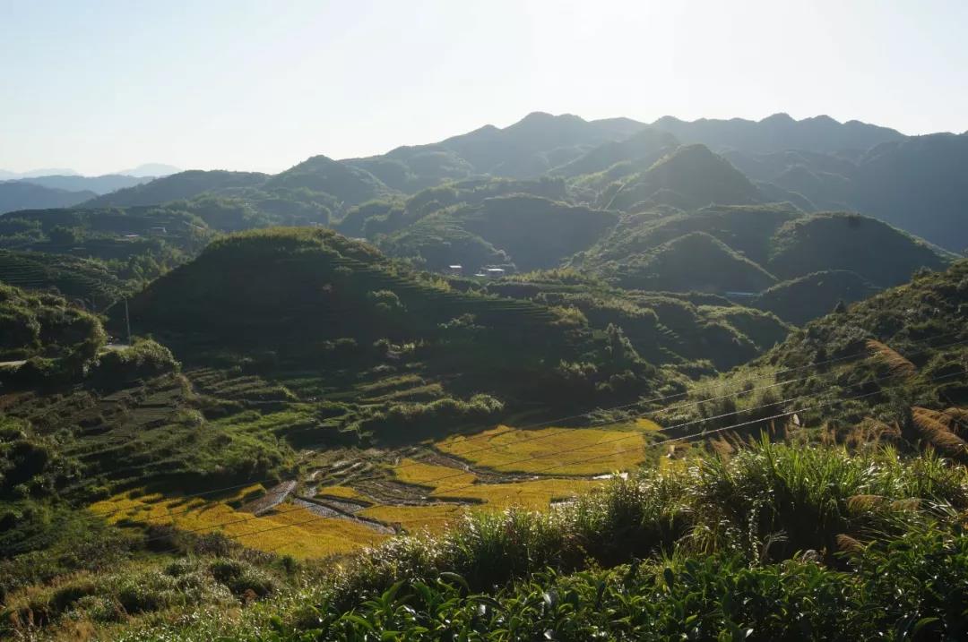 c01439aa73fc121dab152a4e7cc5e50e.jpg c01439aa73fc121dab152a4e7cc5e50e.jpg