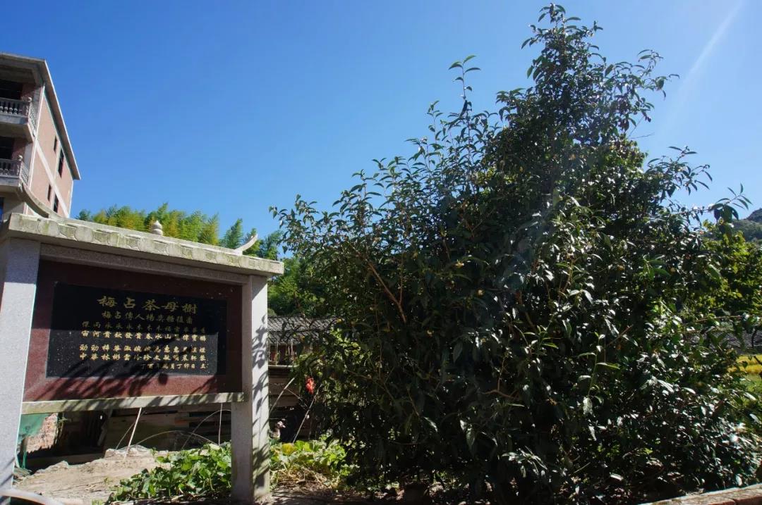 ec5c2e39caa676bbc8dd5a2a87b63437.jpg ec5c2e39caa676bbc8dd5a2a87b63437.jpg