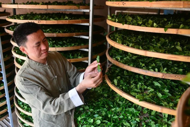 314b35adc30e7648314f40fa47b8488d.jpg 314b35adc30e7648314f40fa47b8488d.jpg