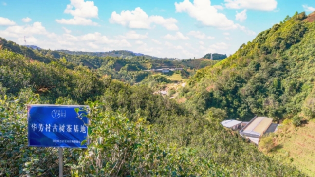 371bb446b19a07b830551d23e75eb888.jpg 371bb446b19a07b830551d23e75eb888.jpg