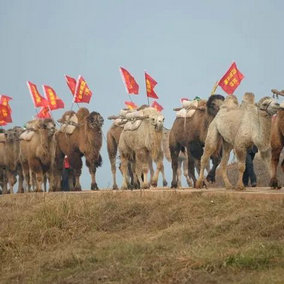 1ce83e0af35a1ca35e63be512ad3cd62.jpg 1ce83e0af35a1ca35e63be512ad3cd62.jpg