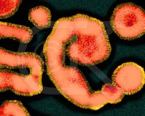 55359a548b11cdf7f767d88d96ff9059.jpg 55359a548b11cdf7f767d88d96ff9059.jpg