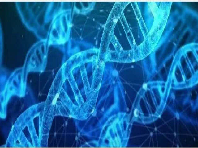 6d6b9bf39504ef2b466e00b5889c9a5f.jpg 6d6b9bf39504ef2b466e00b5889c9a5f.jpg