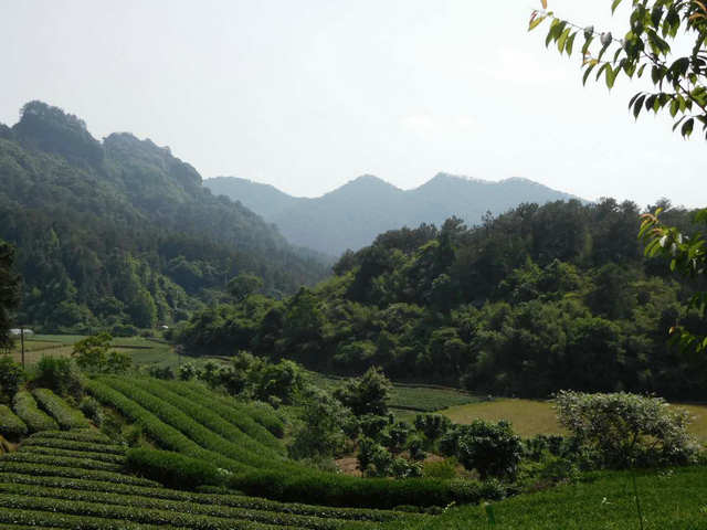 a71c64409dc55045291f5fe659c064e5.jpg a71c64409dc55045291f5fe659c064e5.jpg