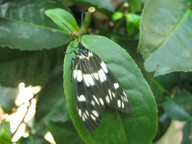 3a260ff283fbeb19e43c982e917cf960.jpg 3a260ff283fbeb19e43c982e917cf960.jpg