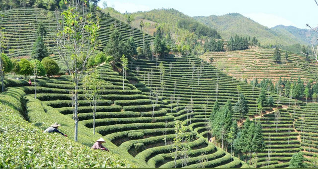 287e465c98849b85f2c1237cd7f1b866.jpg 287e465c98849b85f2c1237cd7f1b866.jpg