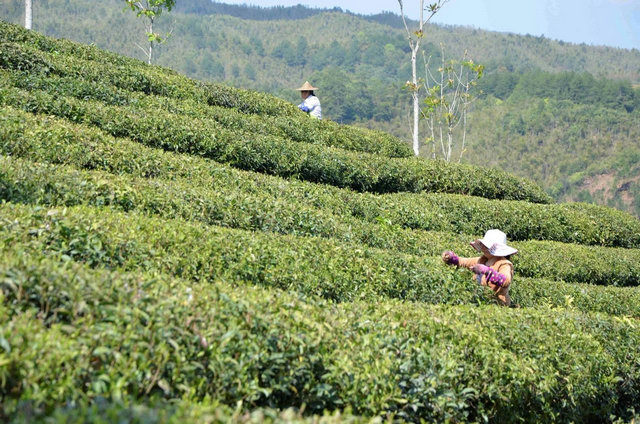 48140815e9f9be96a47b1b9dbd14f47f.jpg 48140815e9f9be96a47b1b9dbd14f47f.jpg