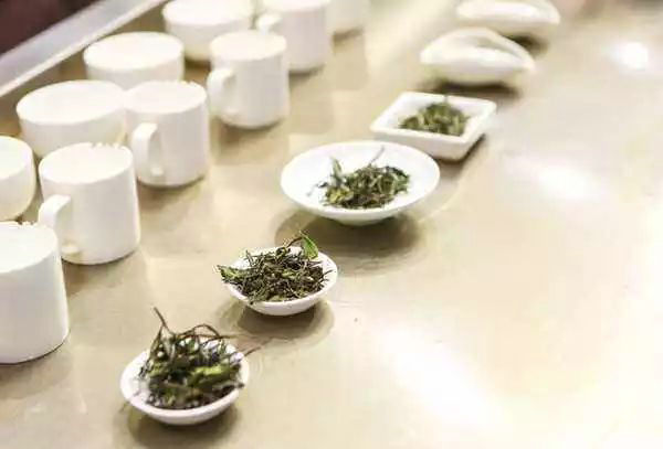 97e574fef90dffb09e828c616a592d21.jpg 97e574fef90dffb09e828c616a592d21.jpg