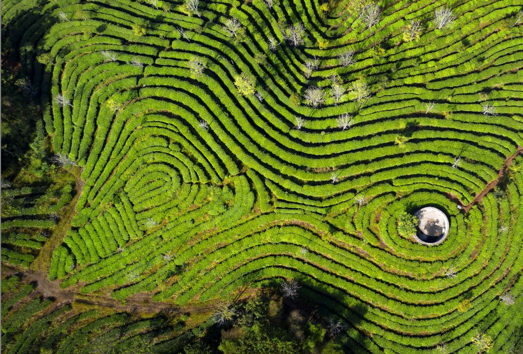 0cd304cb3b32322c4343ad6ce54f73e2.jpg 0cd304cb3b32322c4343ad6ce54f73e2.jpg