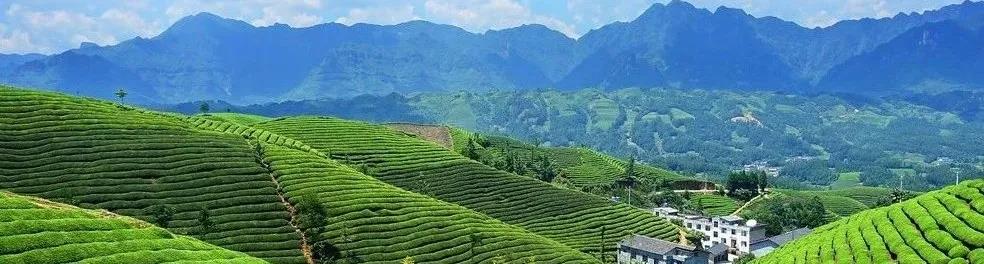 ced7de9f11a1038a58c0c597dc09f32e.jpg ced7de9f11a1038a58c0c597dc09f32e.jpg