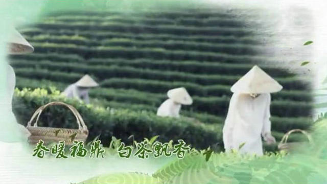 0233ca01bbcfc418beccbaa1a9631296.jpg 0233ca01bbcfc418beccbaa1a9631296.jpg