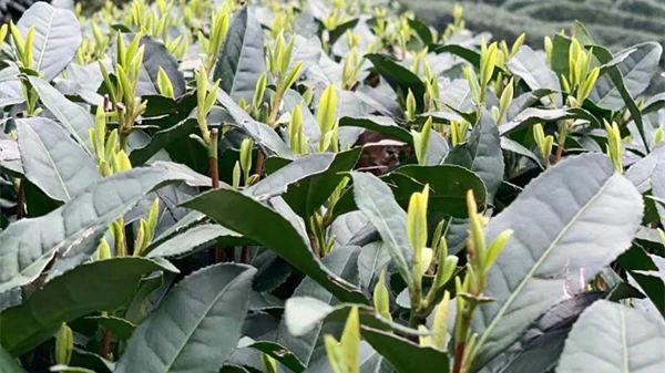 34f46e7a183f6605f3050e2ab3989d63.jpg 34f46e7a183f6605f3050e2ab3989d63.jpg