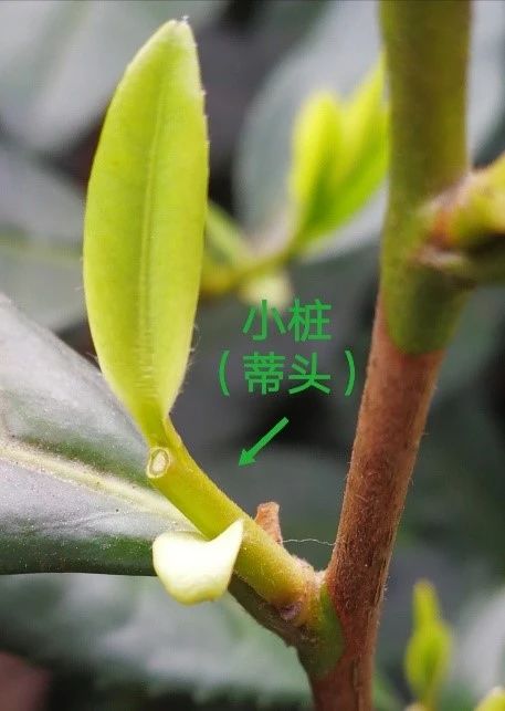 0ed88744036b523b16a385b24e5a94d3.jpg 0ed88744036b523b16a385b24e5a94d3.jpg