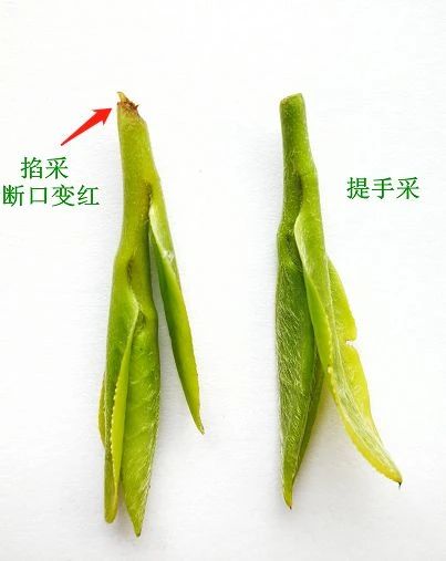 2acbb5722557648e7049bbc34b010b18.jpg 2acbb5722557648e7049bbc34b010b18.jpg