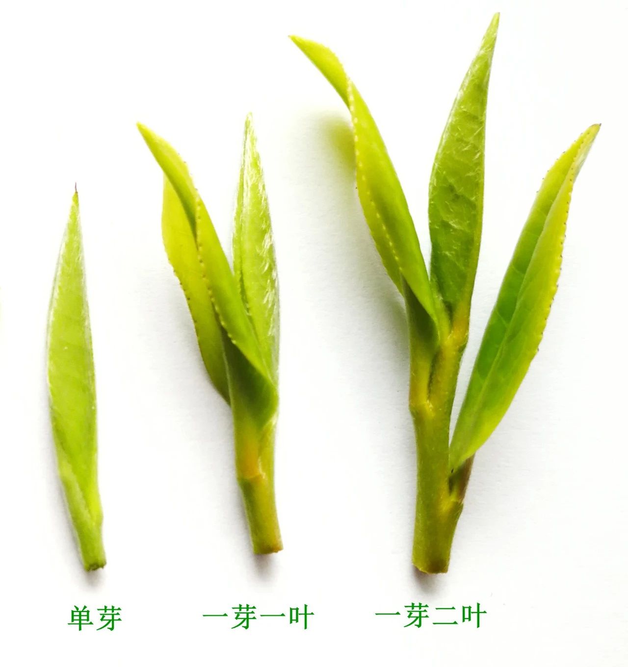 38594ca8f67d35049a106fd9c35698f1.jpg 38594ca8f67d35049a106fd9c35698f1.jpg