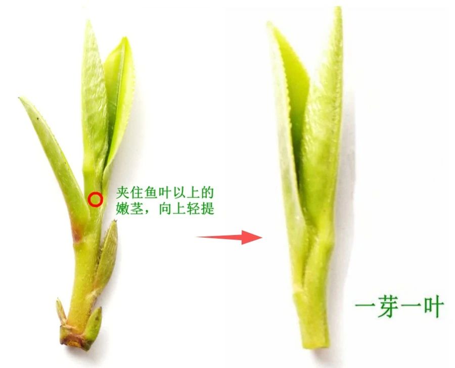 94244fdccb3a51cc13d9f9bc6c98e2c6.jpg 94244fdccb3a51cc13d9f9bc6c98e2c6.jpg