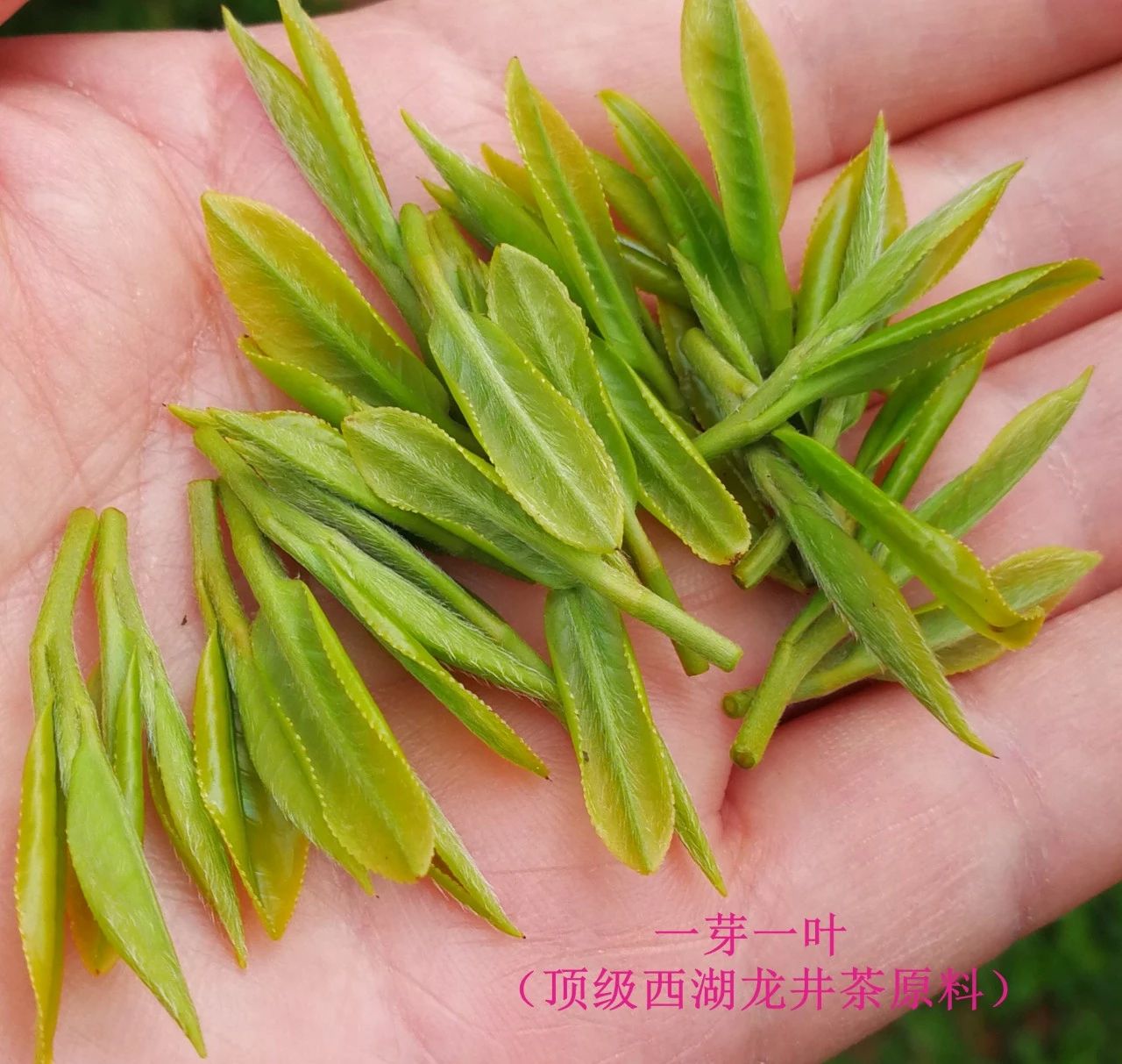 c28ecb96ff5f239d40d09d554a73557f.jpg c28ecb96ff5f239d40d09d554a73557f.jpg