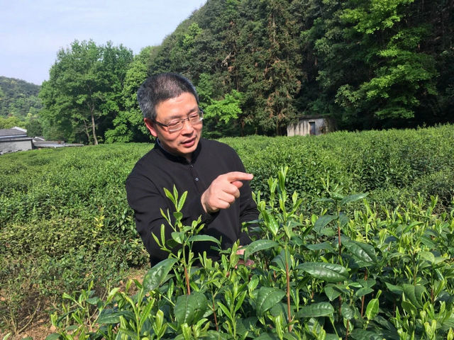 045aedb14f864871e9991738c28fd867.jpg 045aedb14f864871e9991738c28fd867.jpg