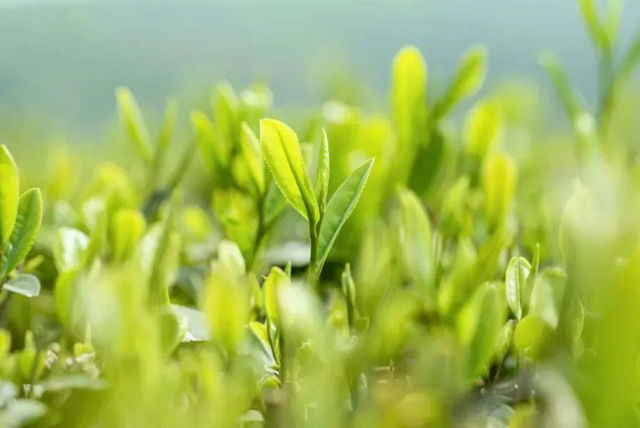 78d7d7621df5ee6a963a97f73775c888.jpg 78d7d7621df5ee6a963a97f73775c888.jpg