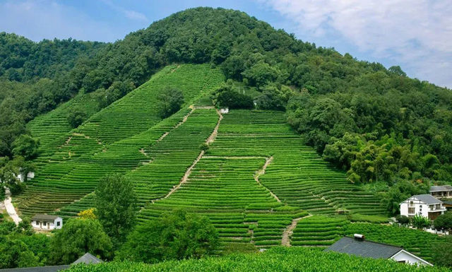 d945f7c4a0573308bf02460d832fc0f9.jpg d945f7c4a0573308bf02460d832fc0f9.jpg