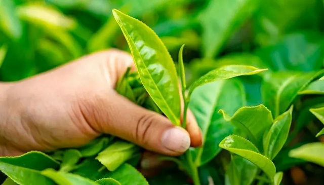 2d156879f5f6422e3e6fecbb7182ee3f.jpg 2d156879f5f6422e3e6fecbb7182ee3f.jpg