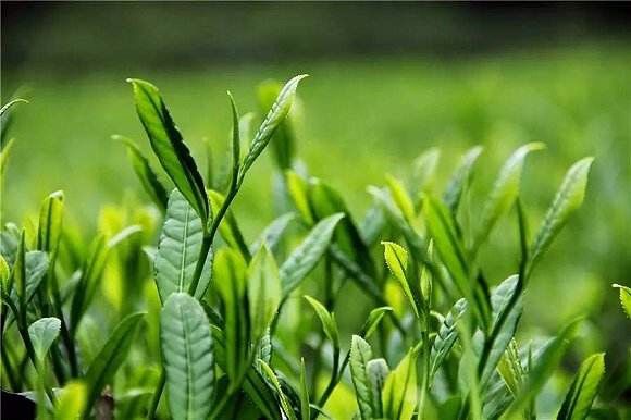 8a8dcbae54e1c8e9f87878a761f0bf17.jpg 8a8dcbae54e1c8e9f87878a761f0bf17.jpg