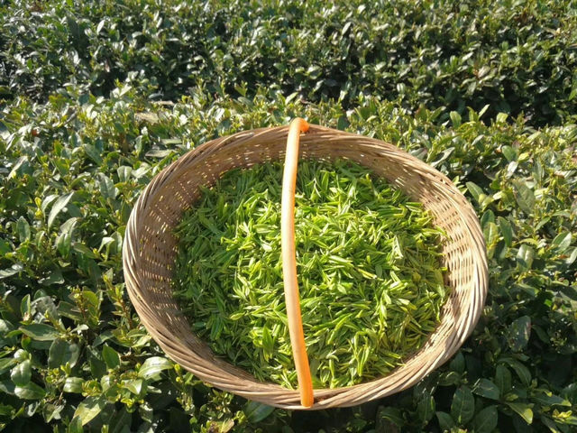 4cc213045af1981ac15bf129c9c9f02a.jpg 4cc213045af1981ac15bf129c9c9f02a.jpg