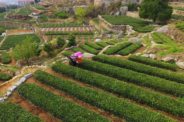 59dfc49169ffa58422a57788b373d7f8.jpg 59dfc49169ffa58422a57788b373d7f8.jpg