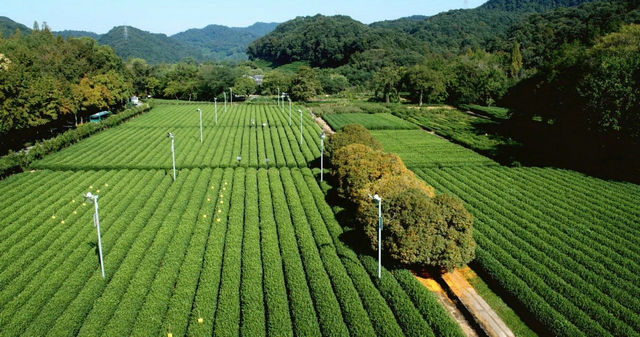 21a1f5c41190dd533cc7676ffb45adbe.jpg 21a1f5c41190dd533cc7676ffb45adbe.jpg