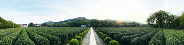 ca4731926bcb45b1b4cc5db26c87f888.jpg ca4731926bcb45b1b4cc5db26c87f888.jpg