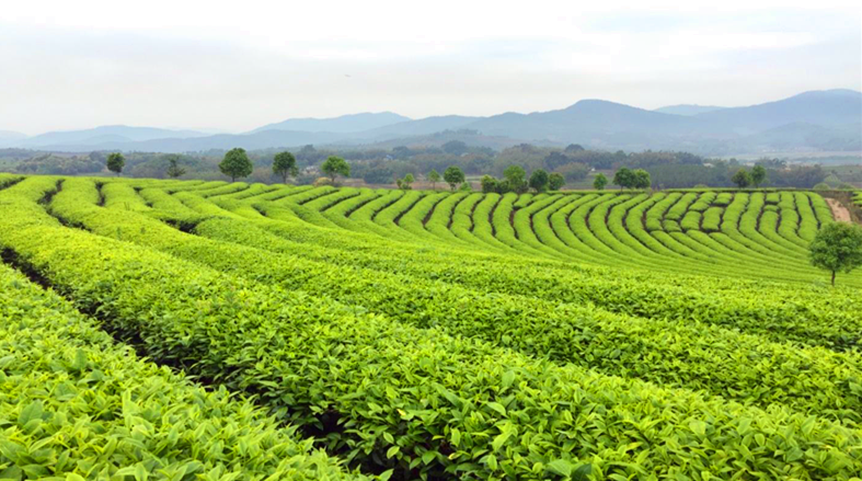 2cc6f1f459b2c070c2e910cb20028fa3.png 2cc6f1f459b2c070c2e910cb20028fa3.png