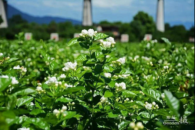 4b9a272d9159fd0c6a4fb48ce5b1f26f.jpg 4b9a272d9159fd0c6a4fb48ce5b1f26f.jpg