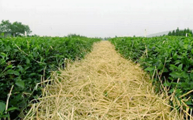 32c105565d8b0a05bc210627db842f2e.png 32c105565d8b0a05bc210627db842f2e.png