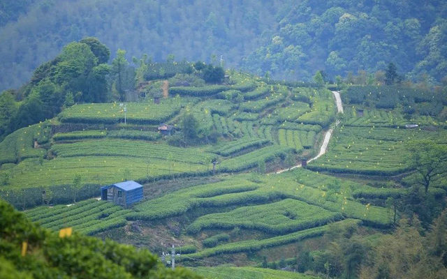 4f98df4034cb12684b3efd7b517290f2.jpg 4f98df4034cb12684b3efd7b517290f2.jpg