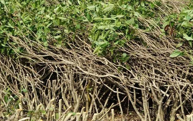 5ddb8f5ad77db462243d589ef1f02b9a.jpg 5ddb8f5ad77db462243d589ef1f02b9a.jpg