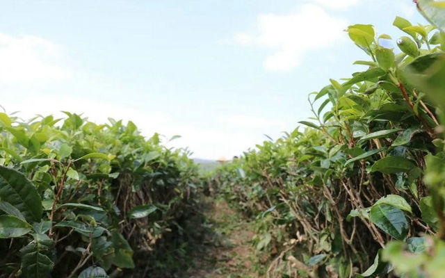 85b425421e07e76a8bd535a72c1eb88f.jpg 85b425421e07e76a8bd535a72c1eb88f.jpg